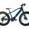 DCO Realfat 350W - Electric Fatbike
