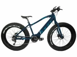 DCO Realfat 350W - Electric Fatbike