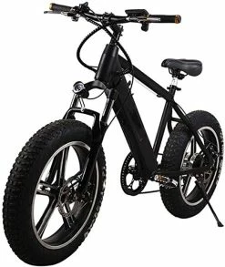 RDJM VTT Electrique, Adultes Montagne Vélo électrique, Avec 250W Moteur 20 Pouces 4.0