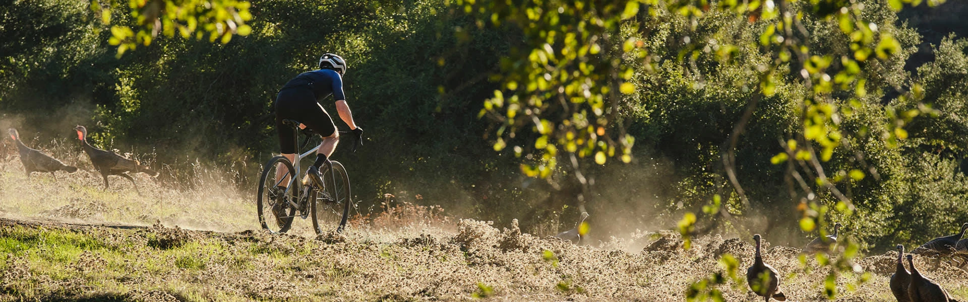 Bike Boutique de vente -Bike Boutique de vente giant gravel banner navi21