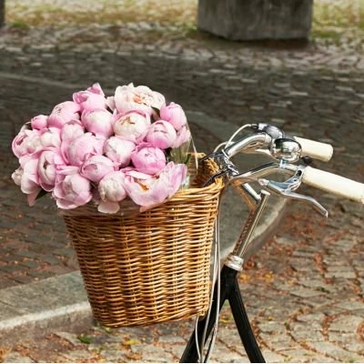 Grand Panier Sur Guidon De Vélo En Rotin Darcy L Basil 5 Grand Panier Sur Guidon De Vélo En Rotin Darcy L Basil – Image 5