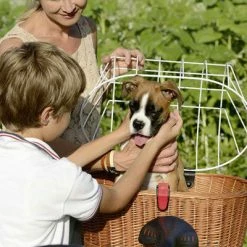 Kit Panier Vélo Chien Doggy Plus + Fixation GTA Klickfix -Bike Boutique de vente kit panier velo chien doggy plus fixation gta klickfix full 6