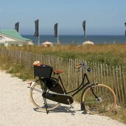 Panier Arrière Tressé Pour Vélo Weave WP Basil 11 Panier Arrière Tressé Pour Vélo Weave WP Basil -Bike Boutique de vente panier arriere tresse pour velo weave wp basil full 6