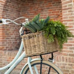 Porte-bagages Avant Pour Vélos De 20 à 24 Pouces Steco 7 Porte-bagages Avant Pour Vélos De 20 à 24 Pouces Steco -Bike Boutique de vente porte bagages avant pour velos de 20 a 24 pouces steco full 4