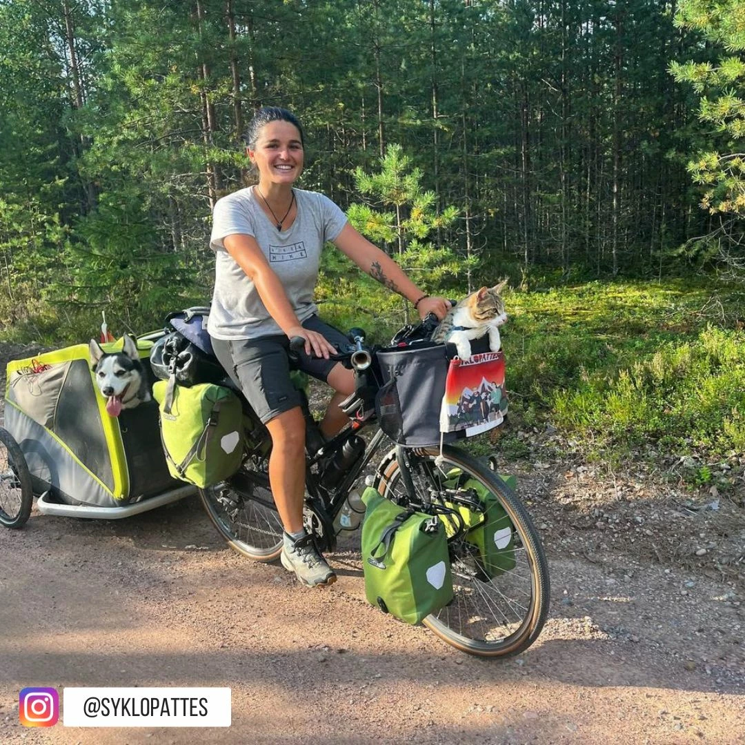 Sac De Vélo Pour Chien Doggy - KLICKfix 6 Sac De Vélo Pour Chien Doggy - KLICKfix – Image 6